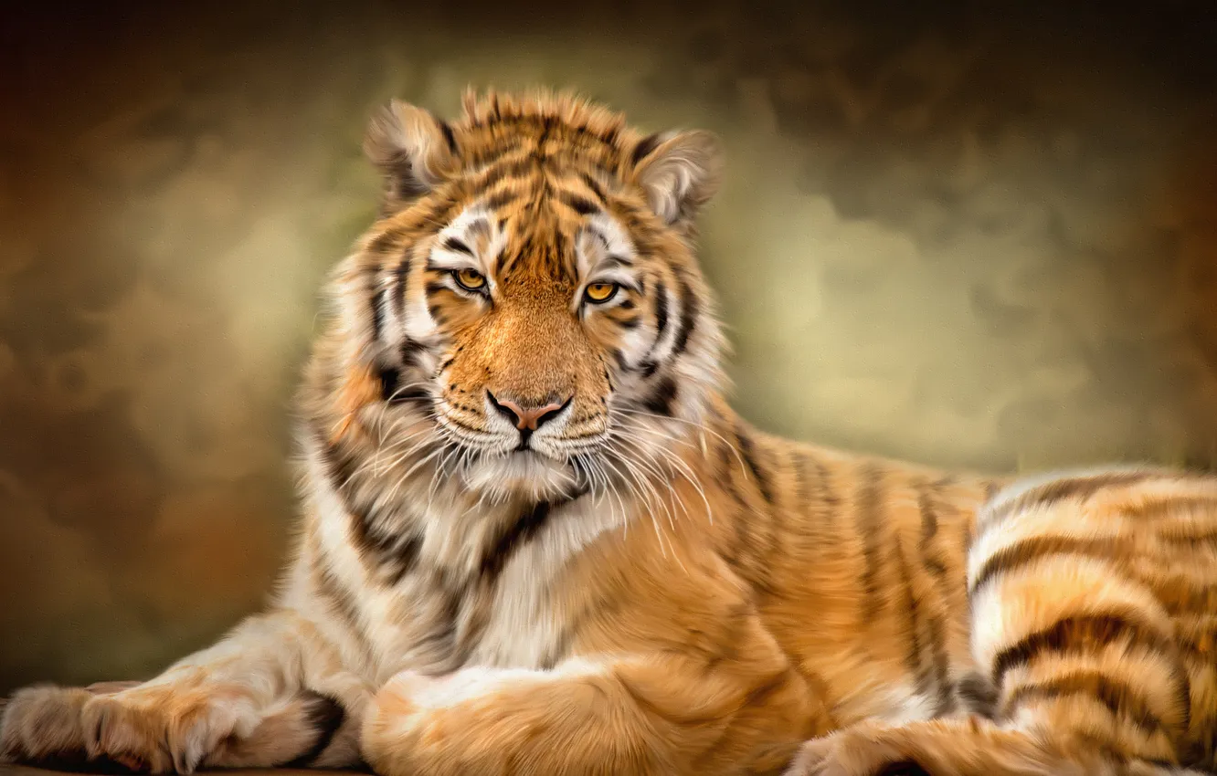 Photo wallpaper tiger, texture, wild cat
