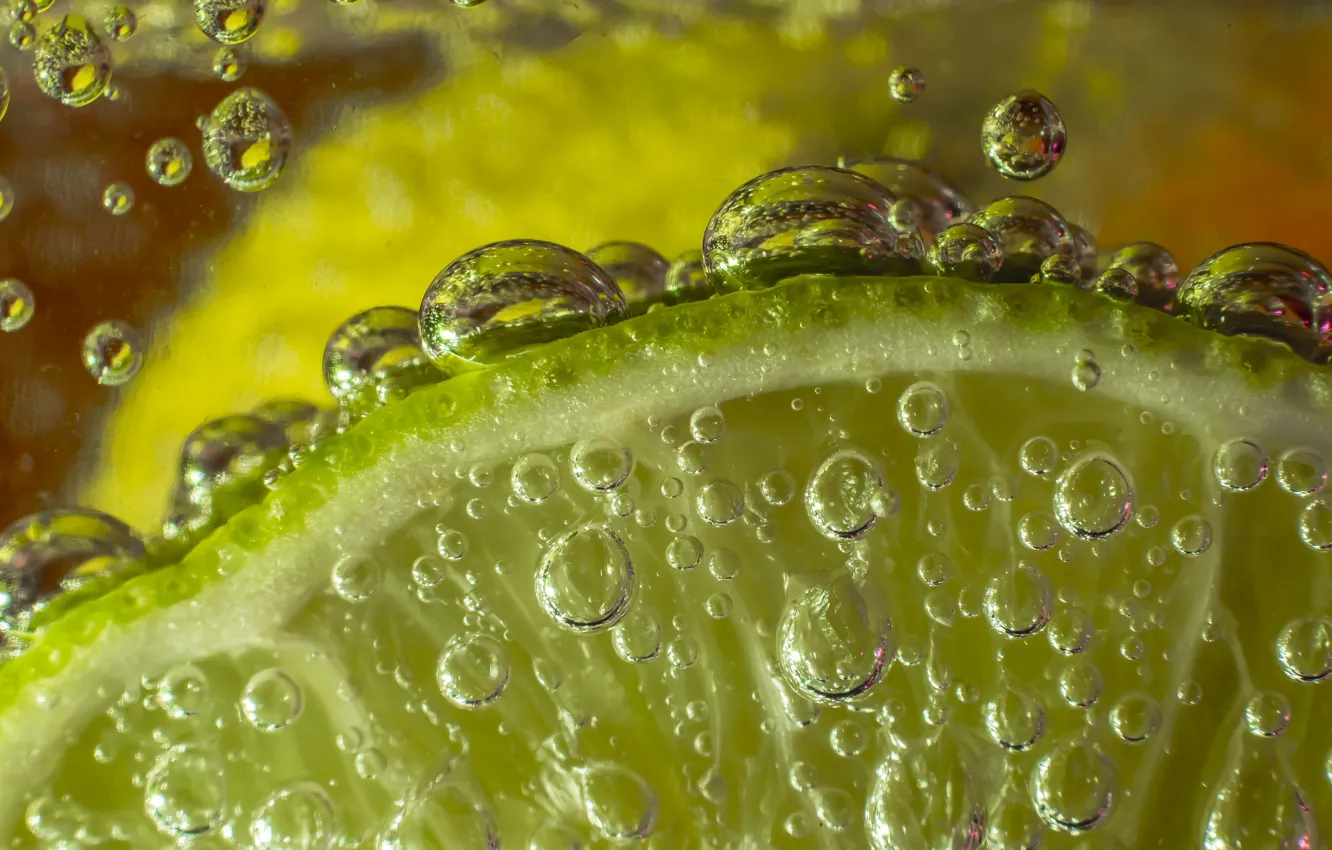 Photo wallpaper macro, bubbles, lime, citrus, under water