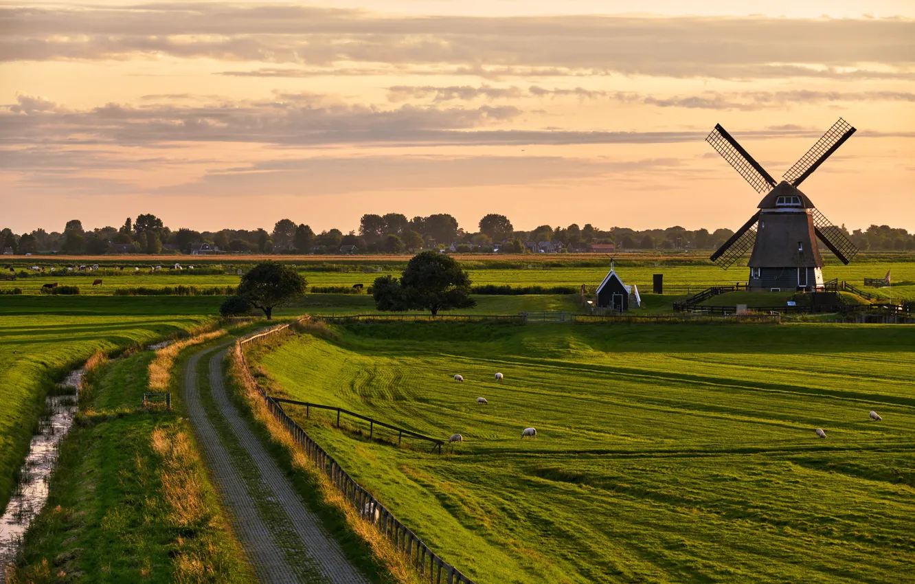 Photo wallpaper road, the sky, the sun, trees, field, mill, houses, Netherlands