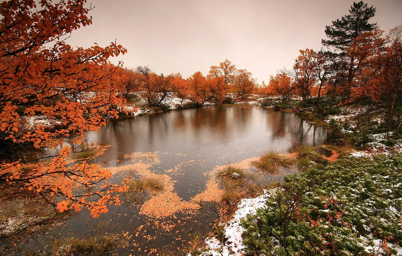 Photo wallpaper autumn, nature, river