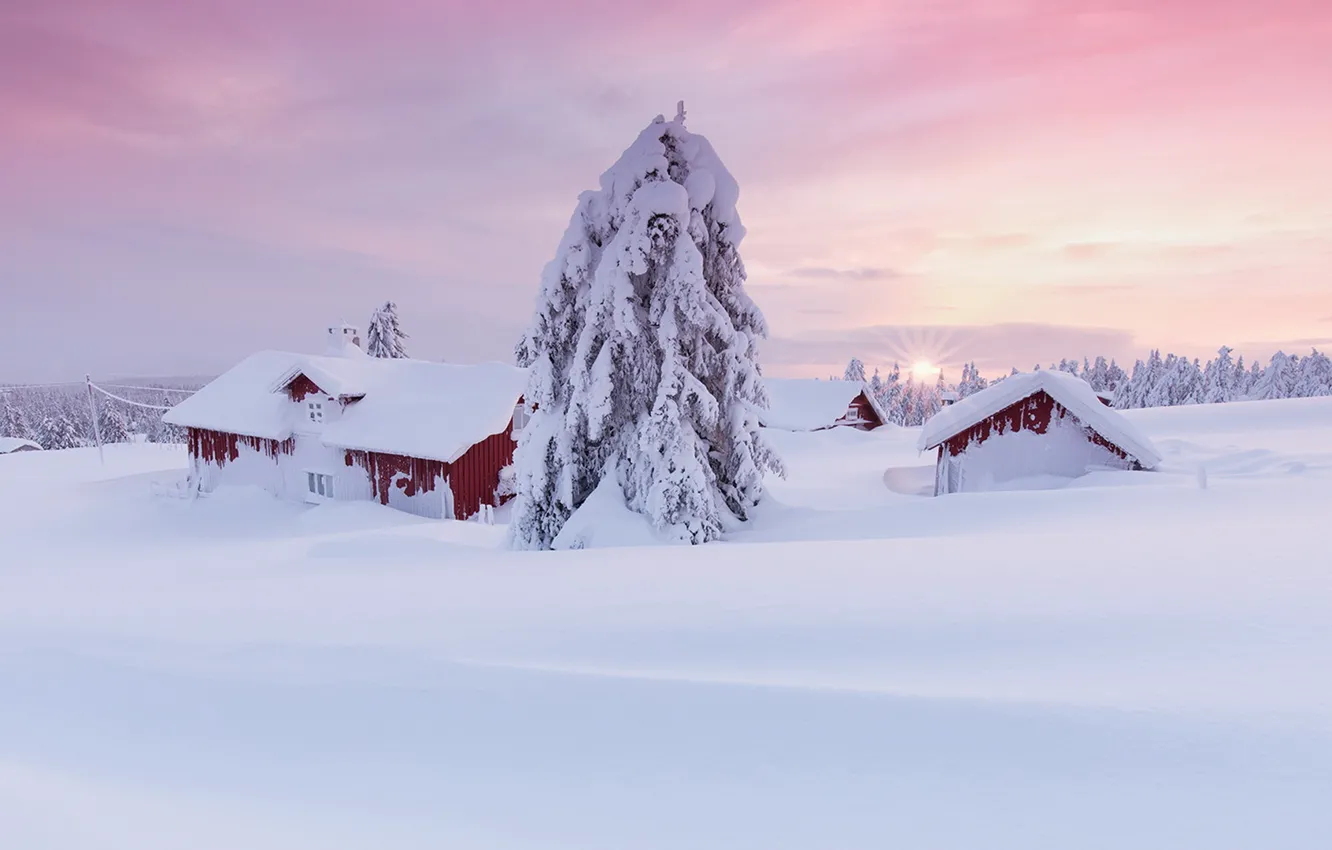 Photo wallpaper winter, the sun, home, spruce, Snow, Norway