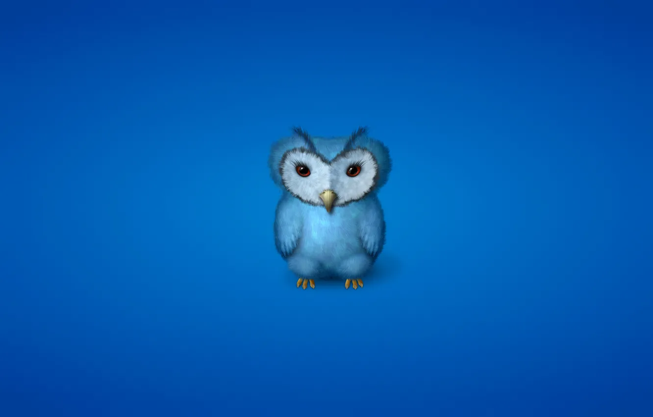 Photo wallpaper owl, bird, minimalism, blue, owl, bluish background