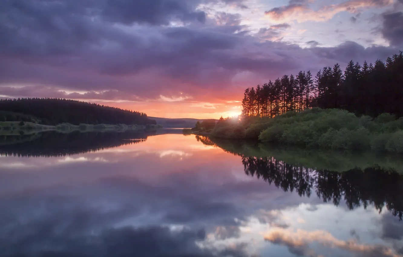 Photo wallpaper forest, the sky, water, clouds, trees, sunset, clouds, surface