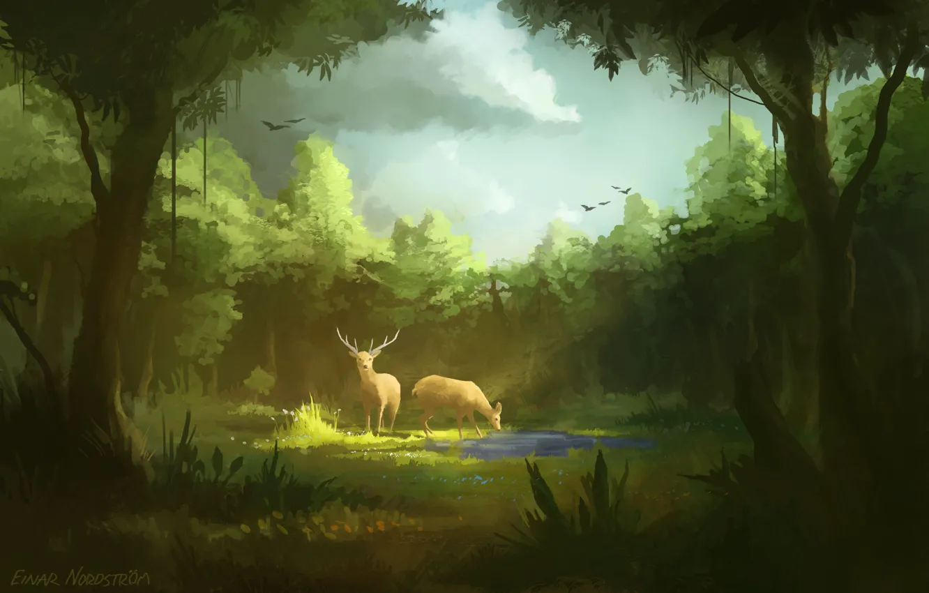 Photo wallpaper bird, deer, puddle, pair, horns, drink, art, in the woods