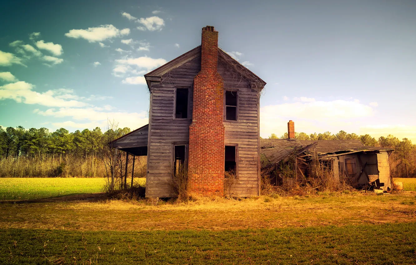 Photo wallpaper field, forest, house, abandoned