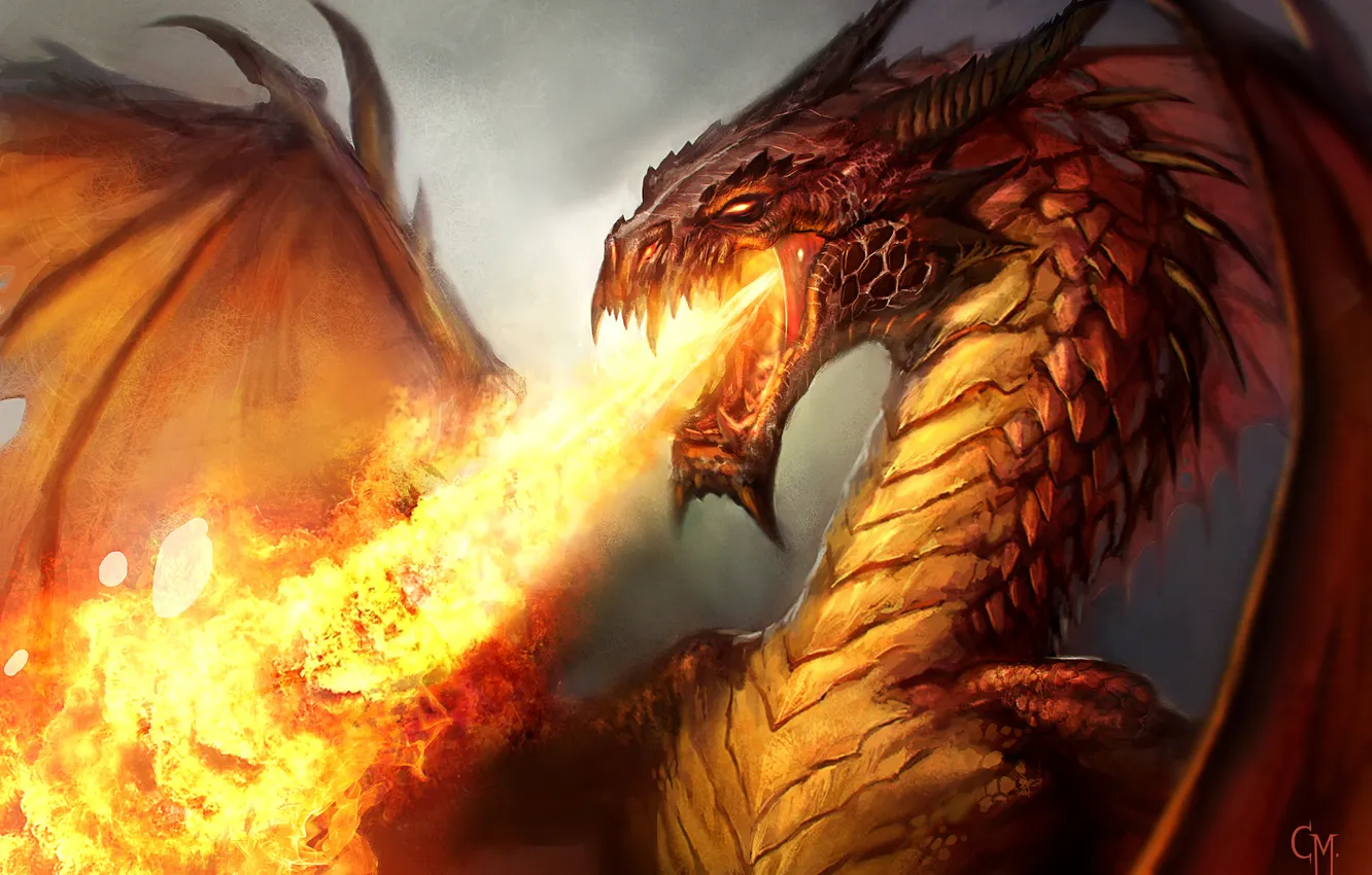 Photo wallpaper fire, dragon, reptile, dragon breath