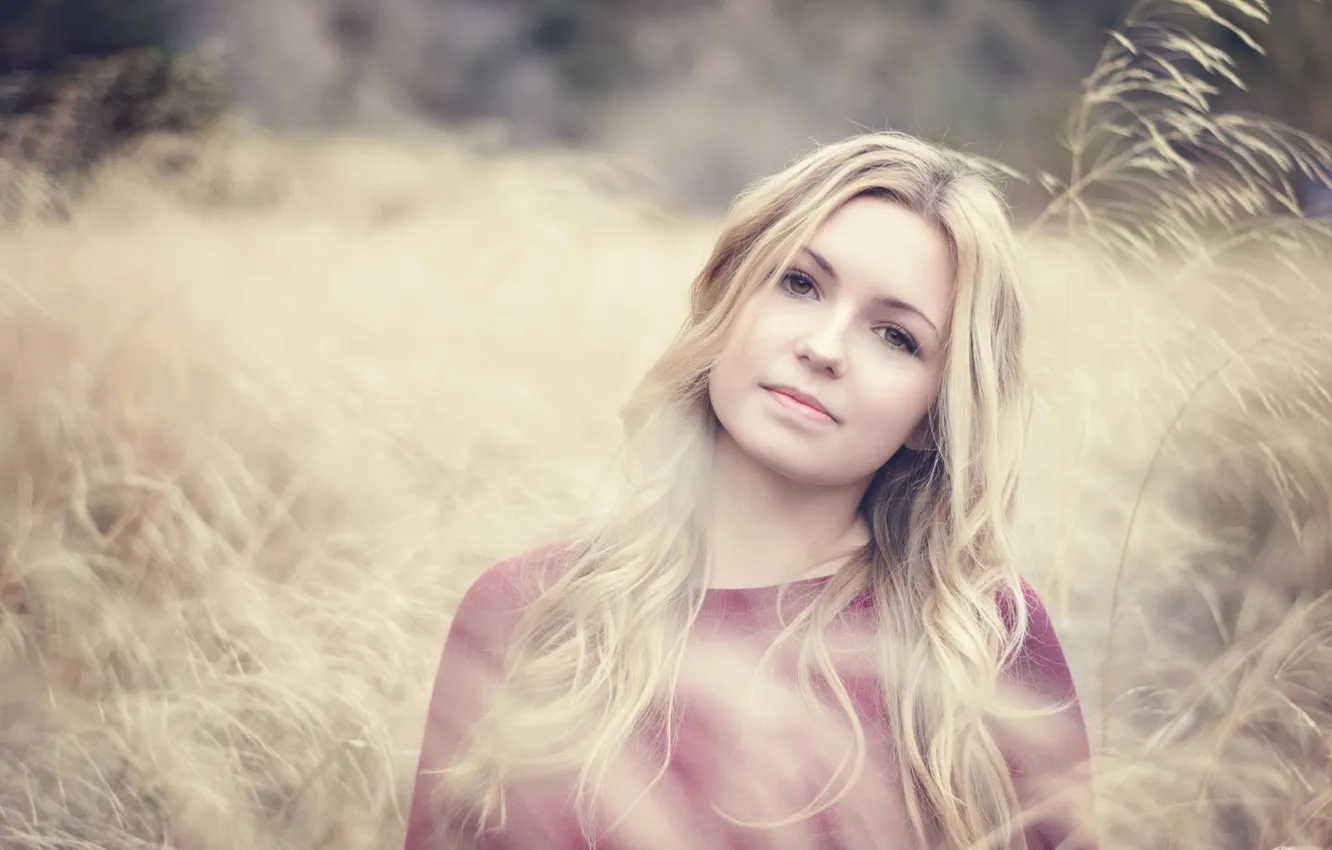 Photo wallpaper grass, nature, portrait, bokeh
