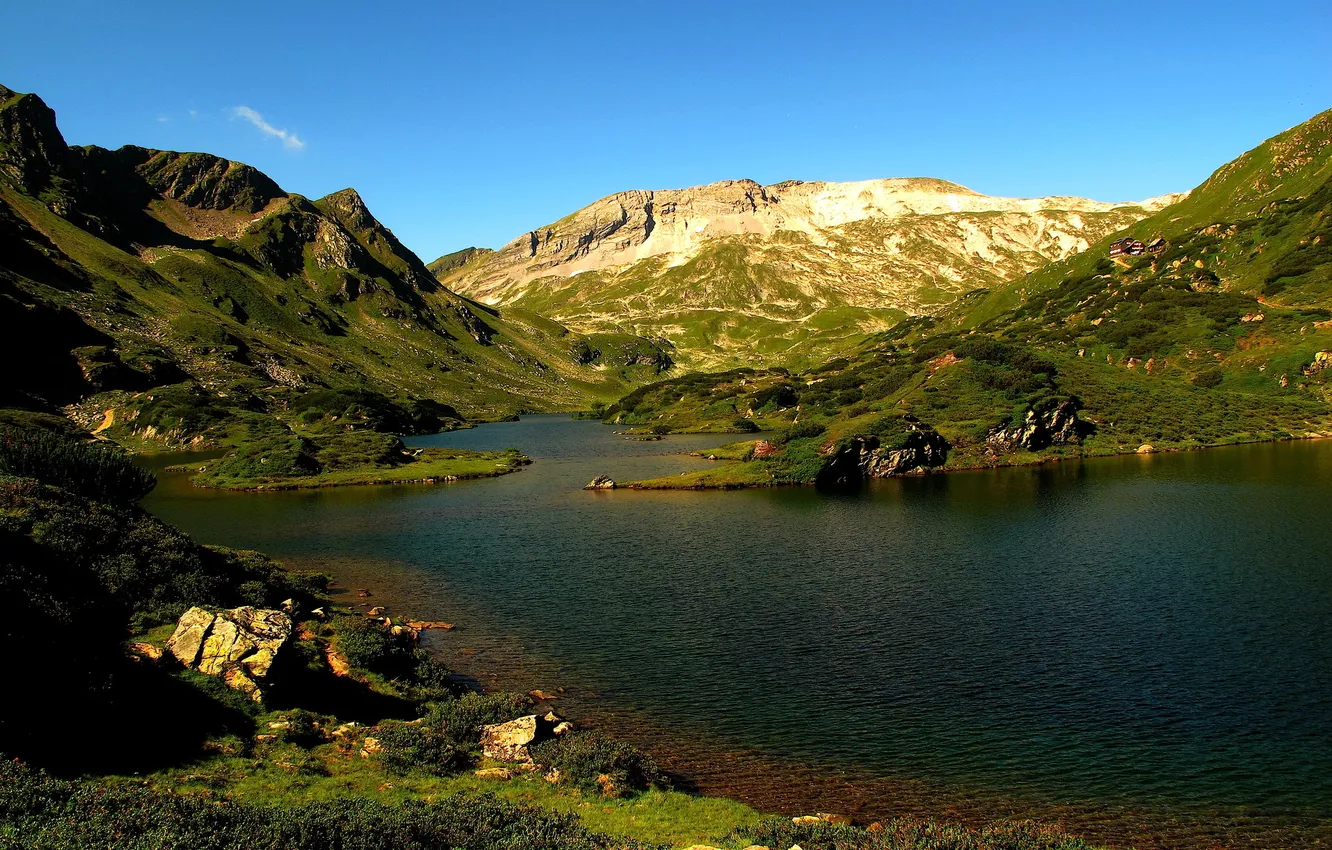 Photo wallpaper forest, grass, mountains, river, slope, house