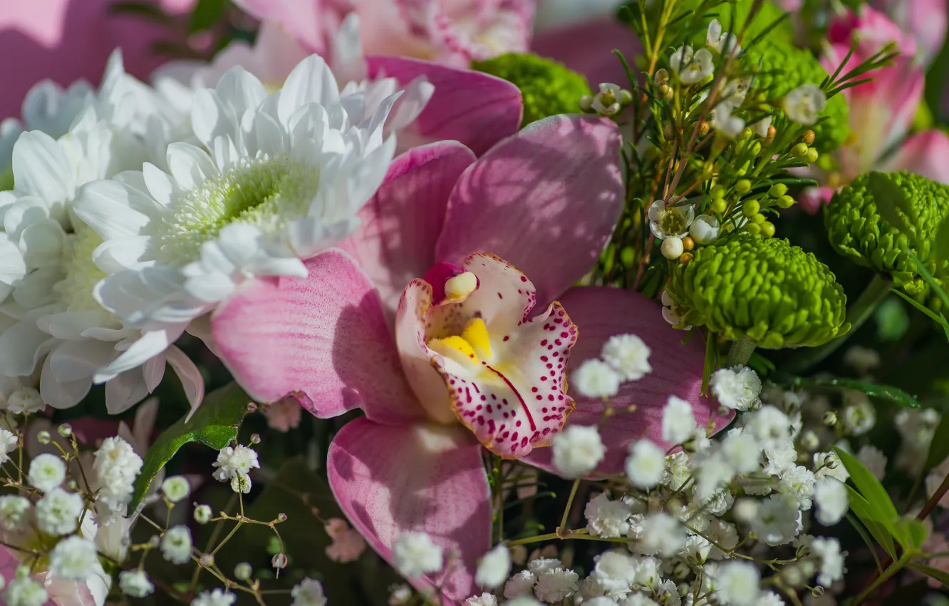 Photo wallpaper flowers, holiday, bouquet, Orchid
