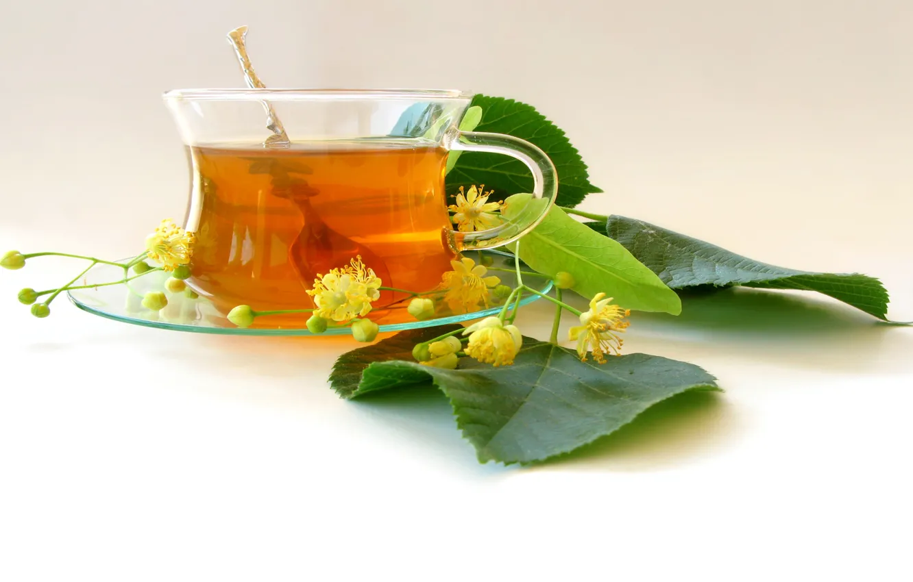 Photo wallpaper tea, leaves, inflorescence