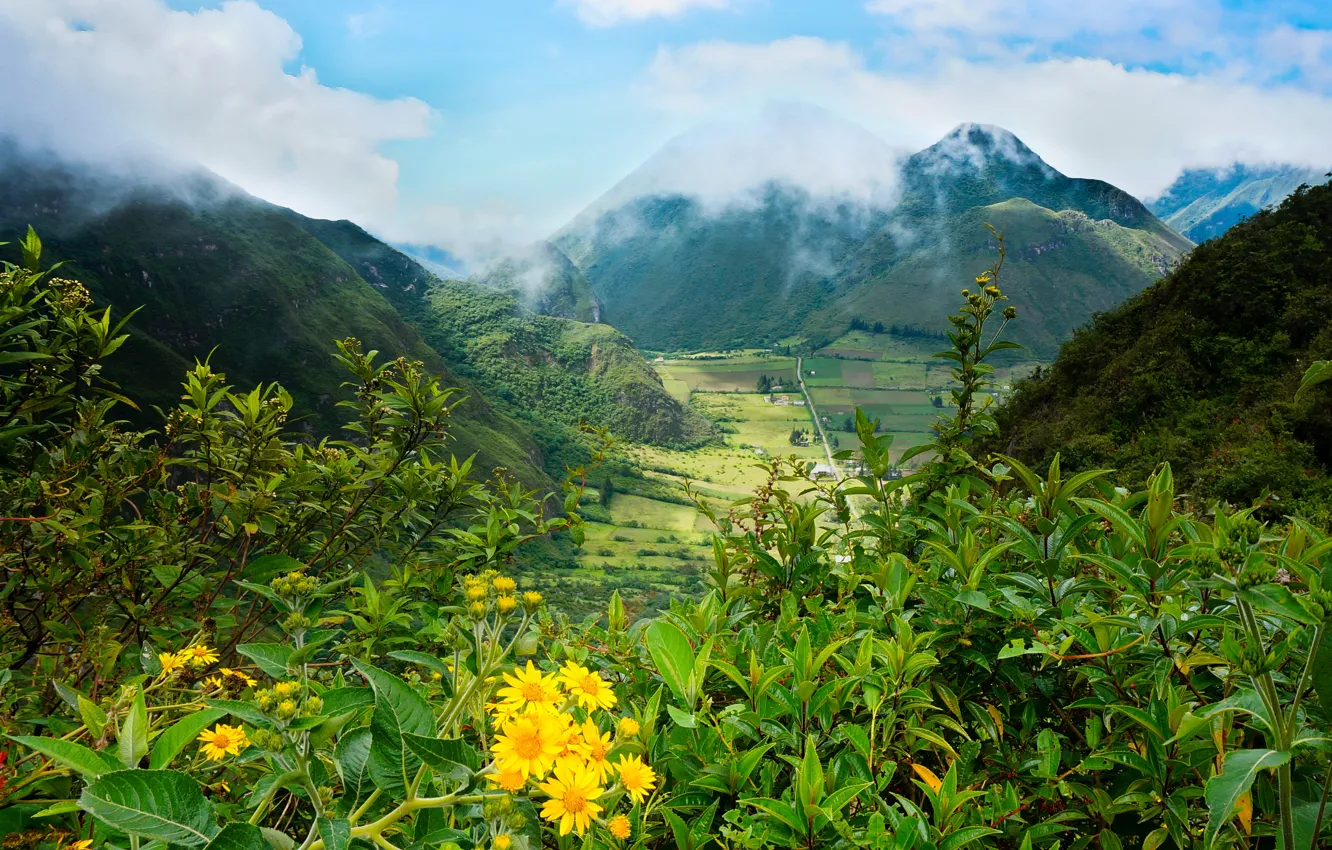 Photo wallpaper greens, field, clouds, mountains, valley, the bushes, Ecuador, Pululahua
