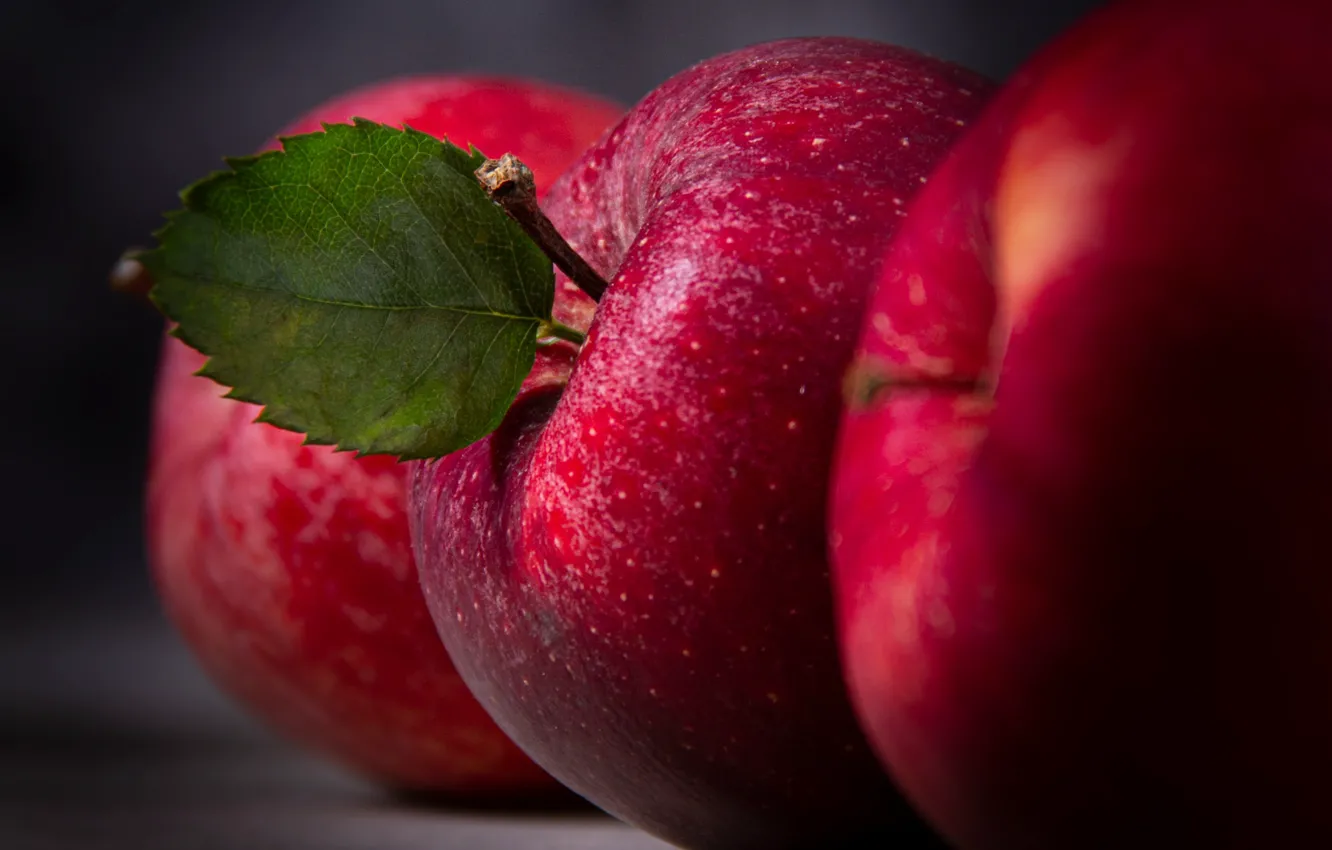 Photo wallpaper red, apples, leaf