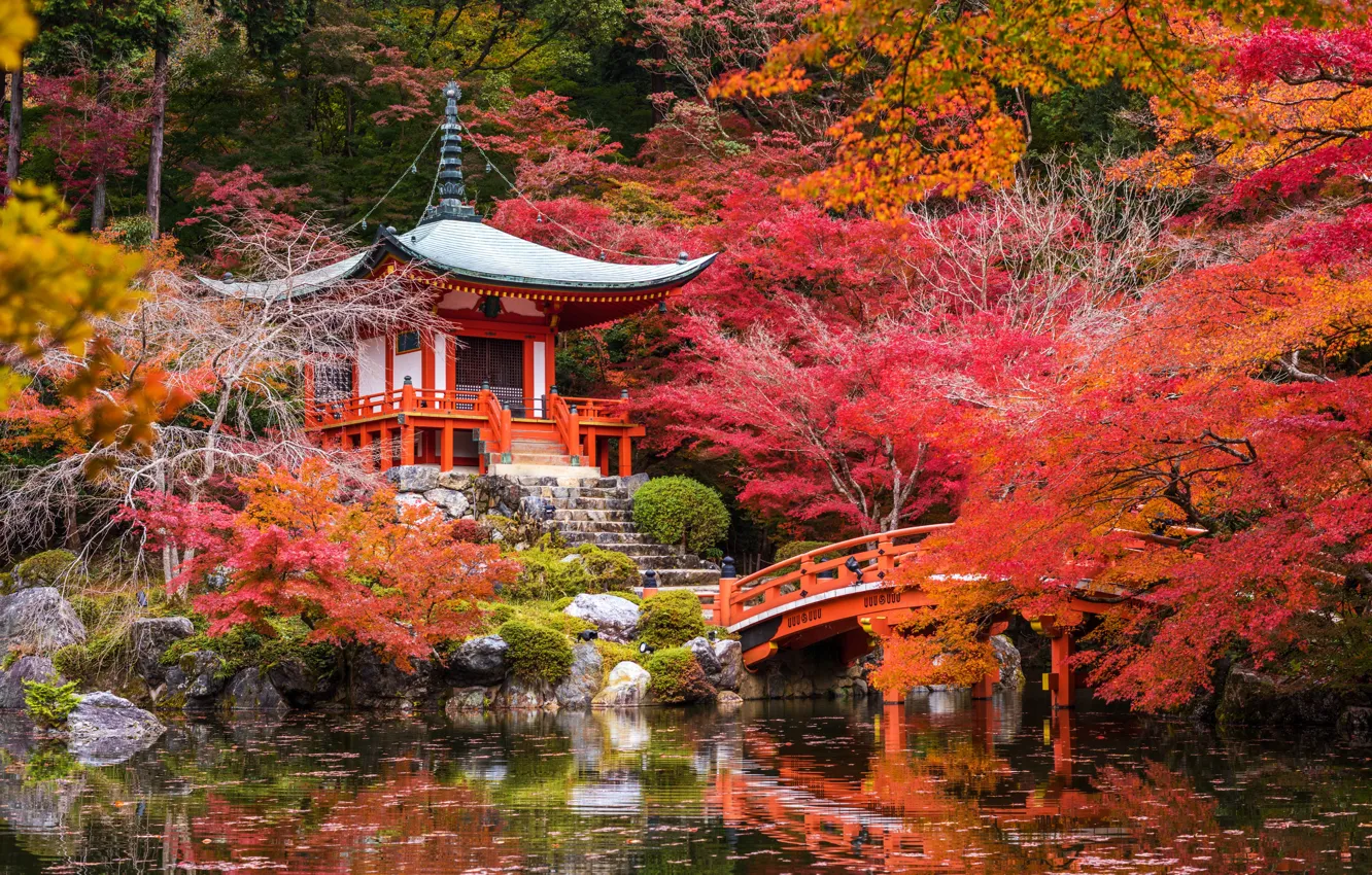 Photo wallpaper autumn, trees, pond, Park, stones, Japan, pagoda, the bridge