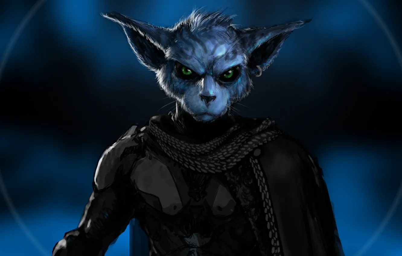 Photo wallpaper look, face, earrings, armor, ears, mutant