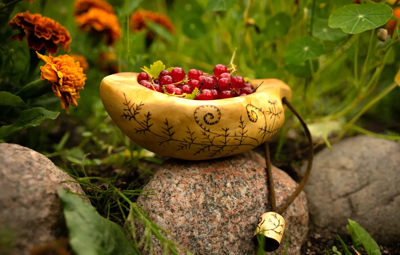 Photo wallpaper red, flowers, bowl, nature, marigolds, garden, cottage, berries
