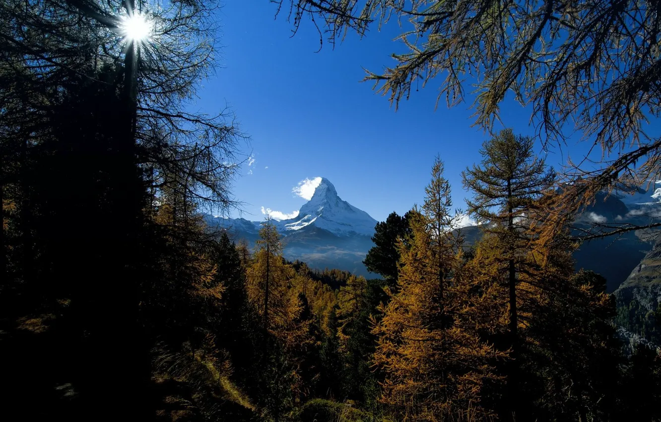 Photo wallpaper the sky, the sun, mountains, tree