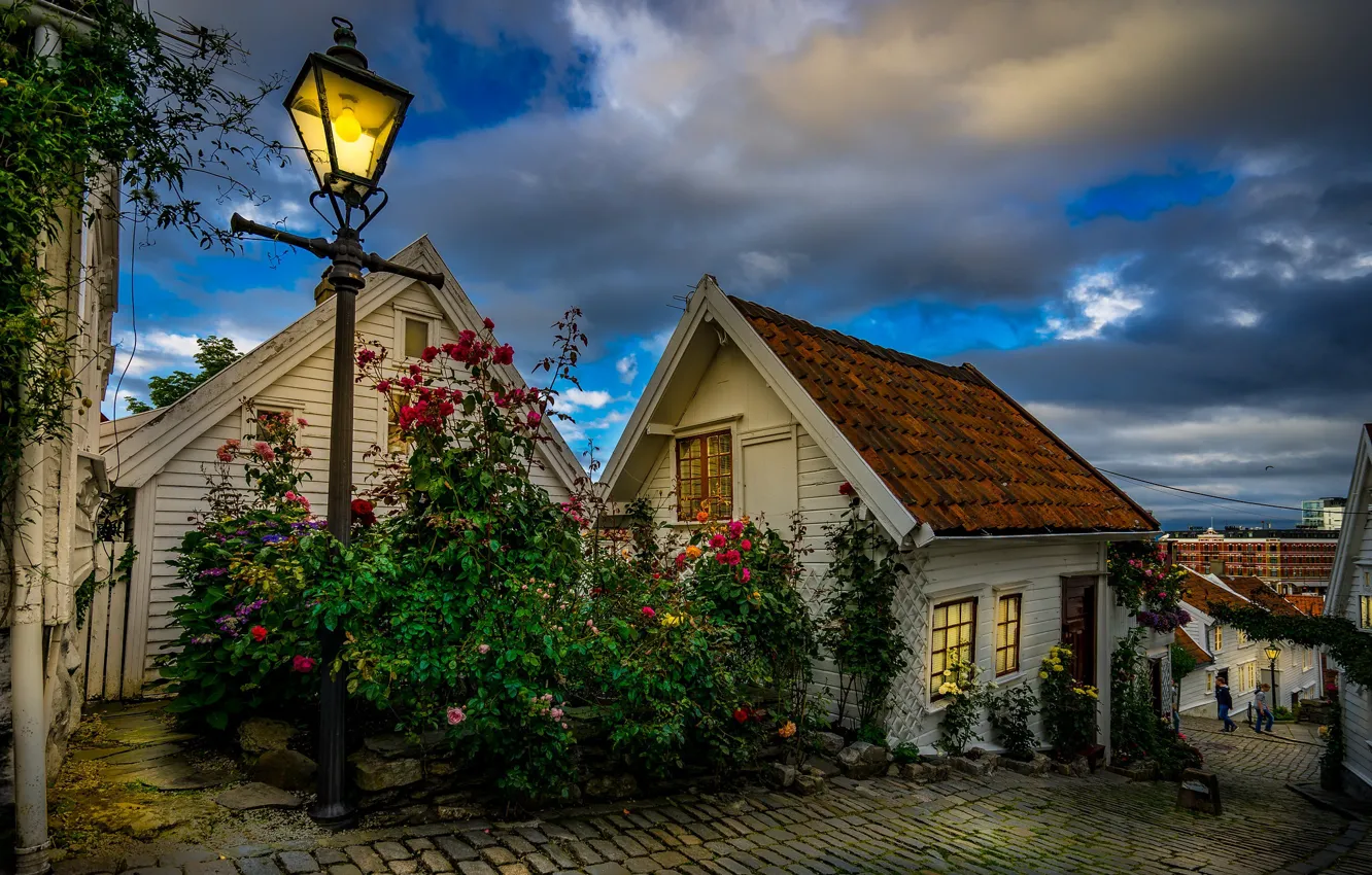 Photo wallpaper flowers, the city, street, home, the evening, lighting, Norway, lights