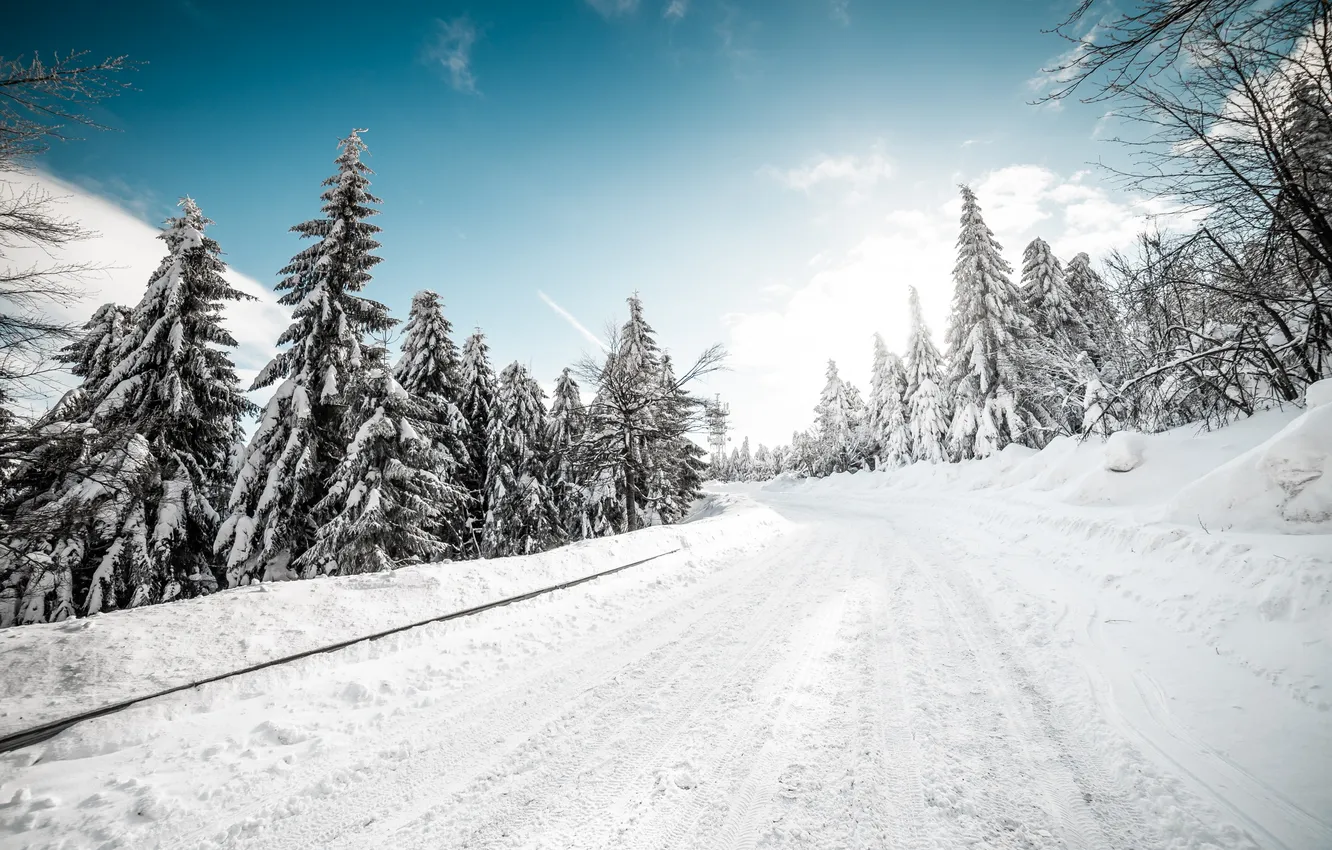 Photo wallpaper winter, road, forest, the sky, the sun, clouds, snow, trees