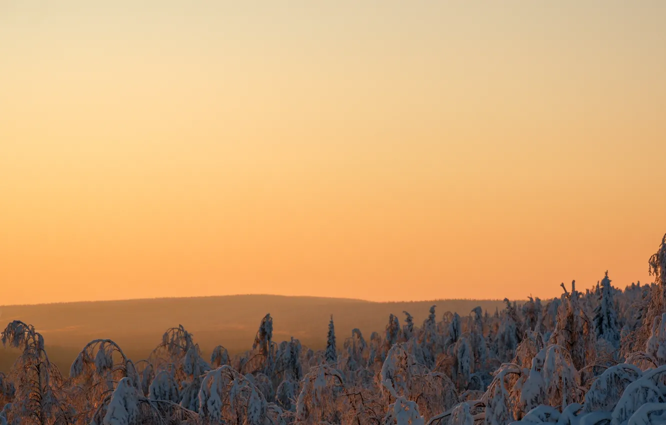 Photo wallpaper winter, landscape, nature, dawn, winter, sunrise, Ural, Ural