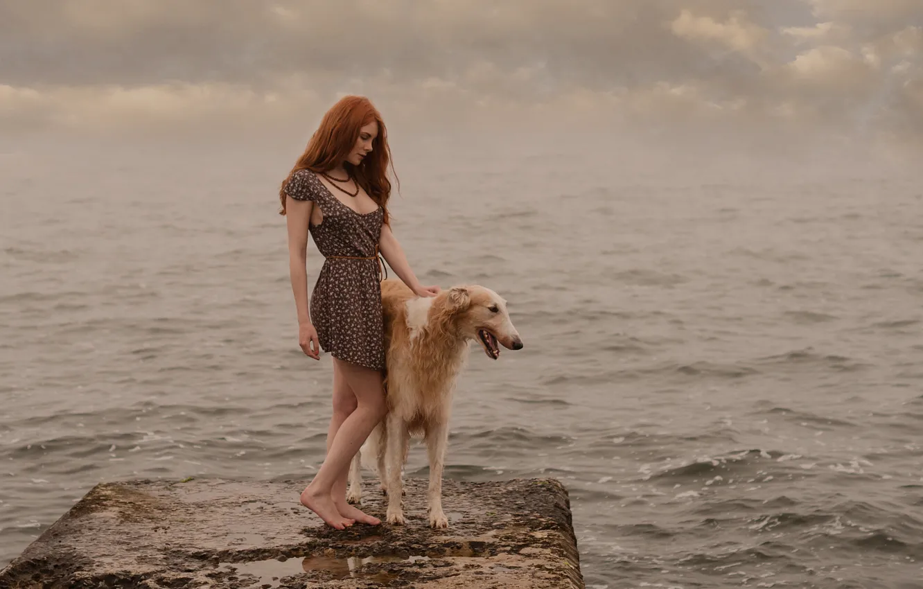 Photo wallpaper water, dog, redhead