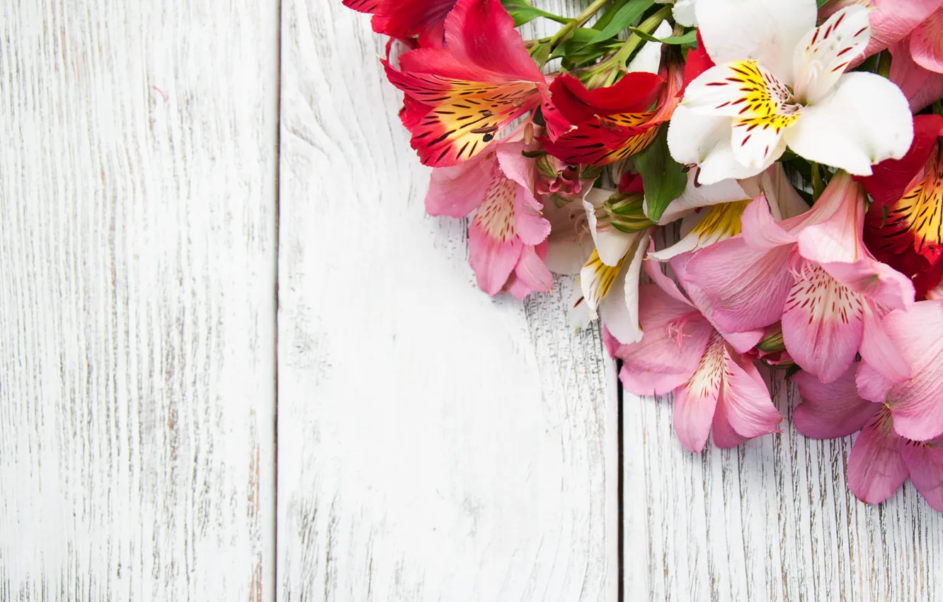 Photo wallpaper flowers, Lily, bouquet, pink, wood, pink, flowers, lily