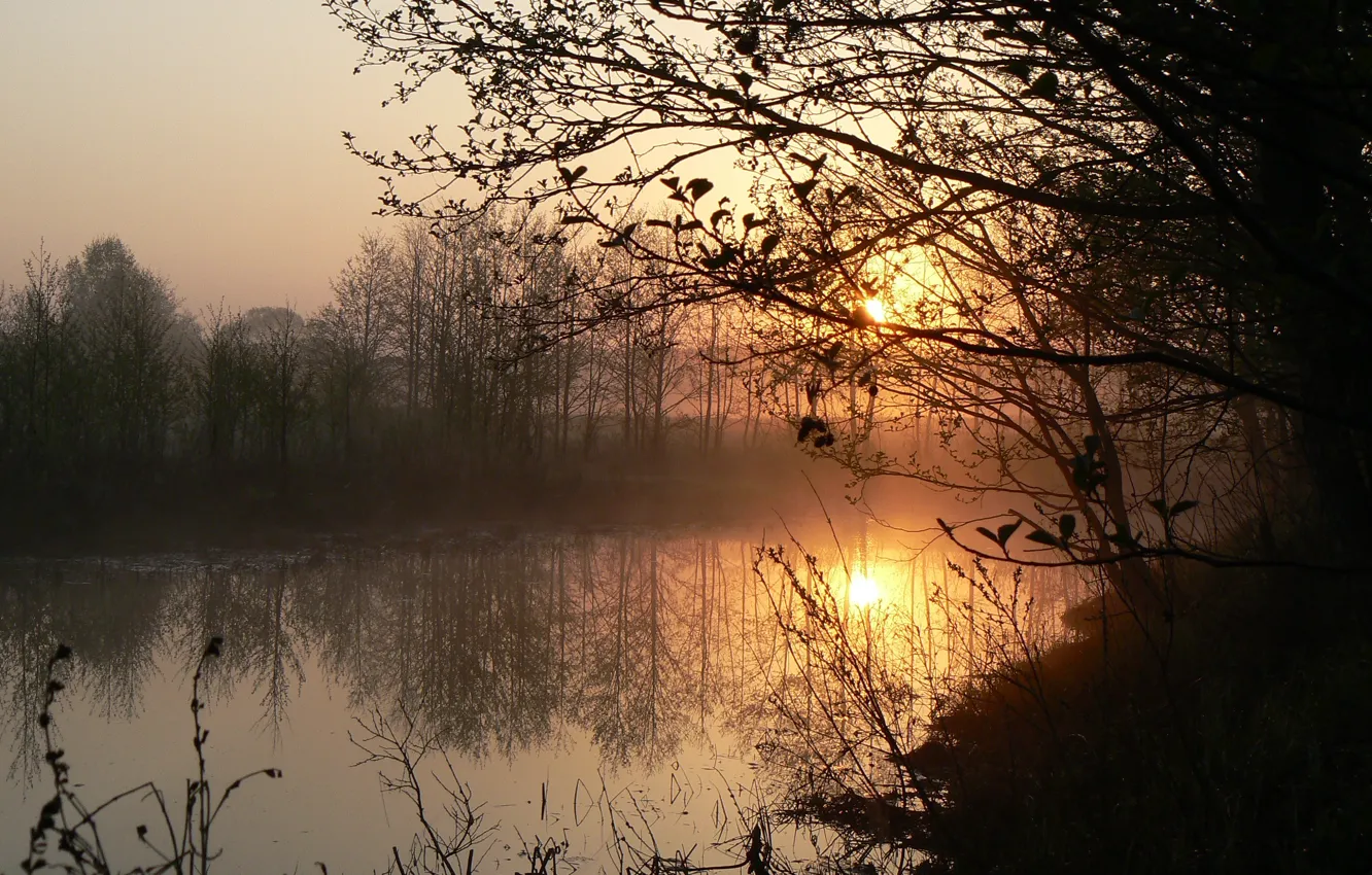 Photo wallpaper river, dawn, morning, homeland, Belarus, my photo, Drut
