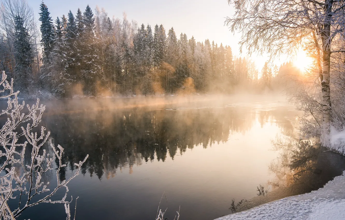 Photo wallpaper winter, fog, river, morning