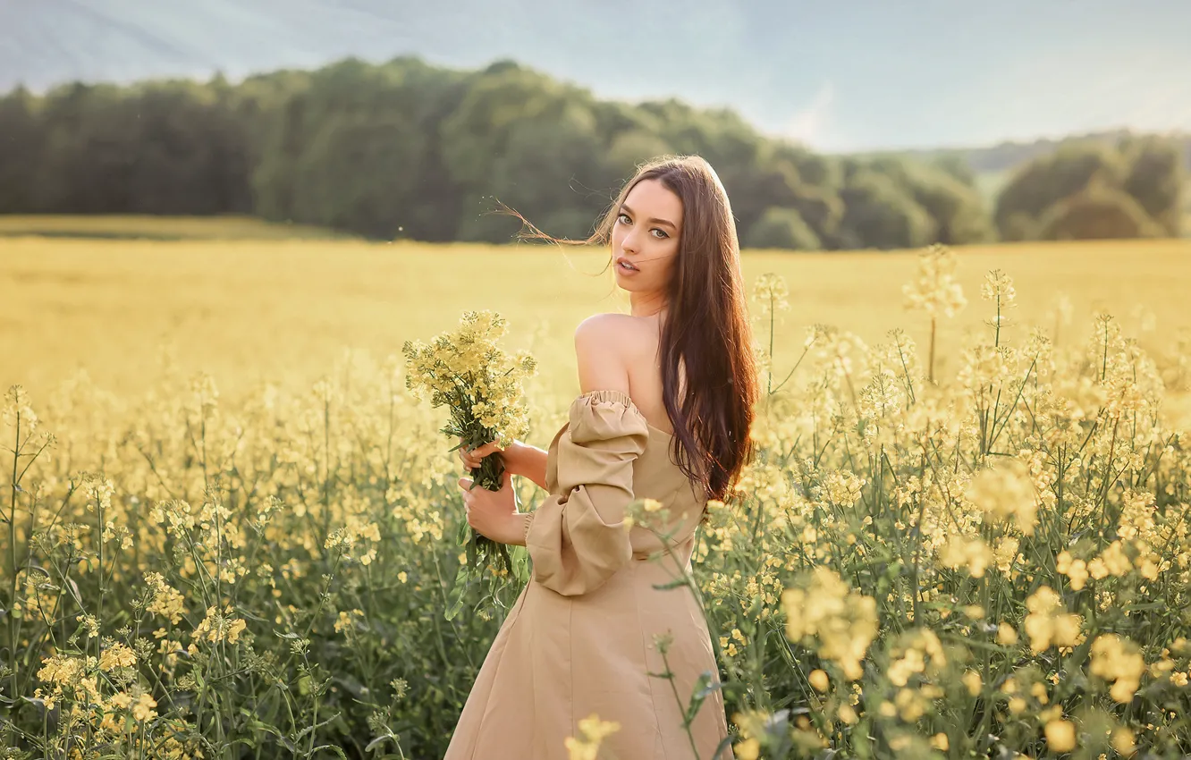 Photo wallpaper field, summer, girl, flowers, nature, pose, hair, dress