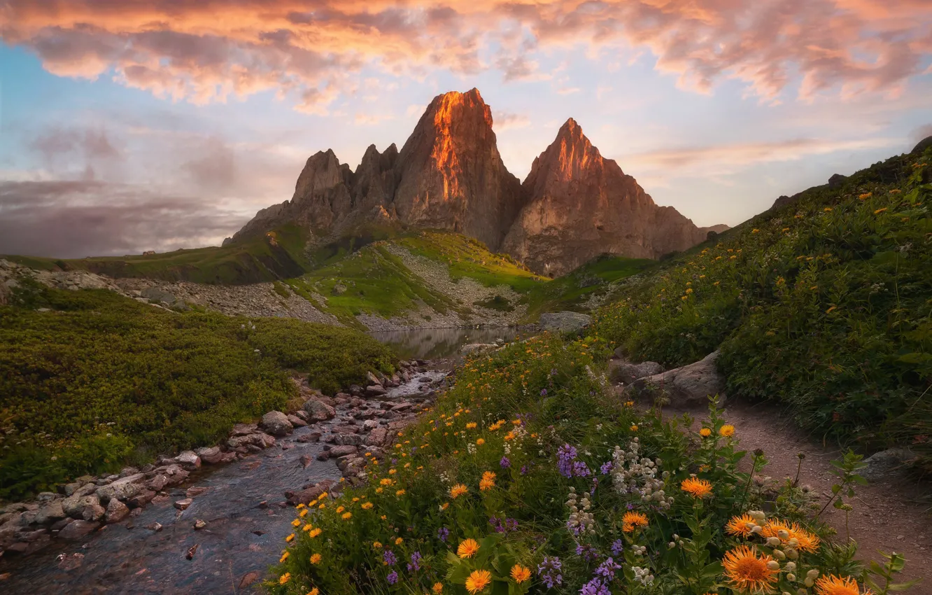 Photo wallpaper landscape, sunset, flowers, mountains, nature, stream, stones, INGUSHETIA
