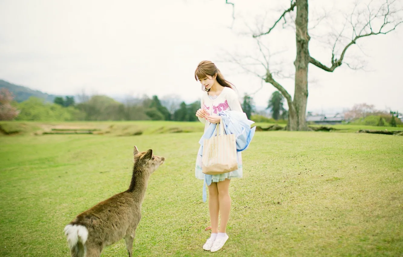 Photo wallpaper woman, model, pretty, asian, deer, outdoor