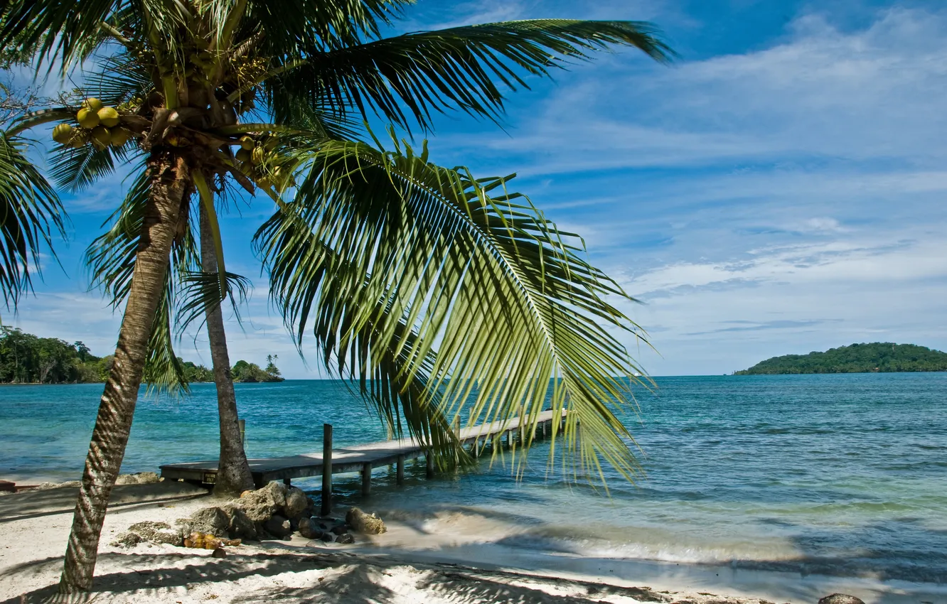 Photo wallpaper sea, beach, palm trees, the bridge