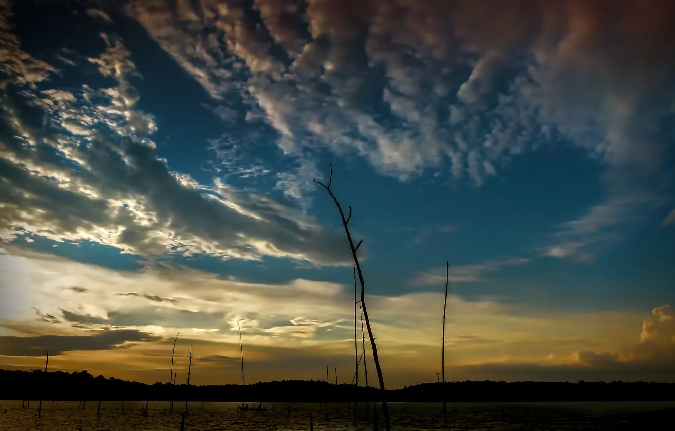 Photo wallpaper the sky, clouds, trees, lake, the evening