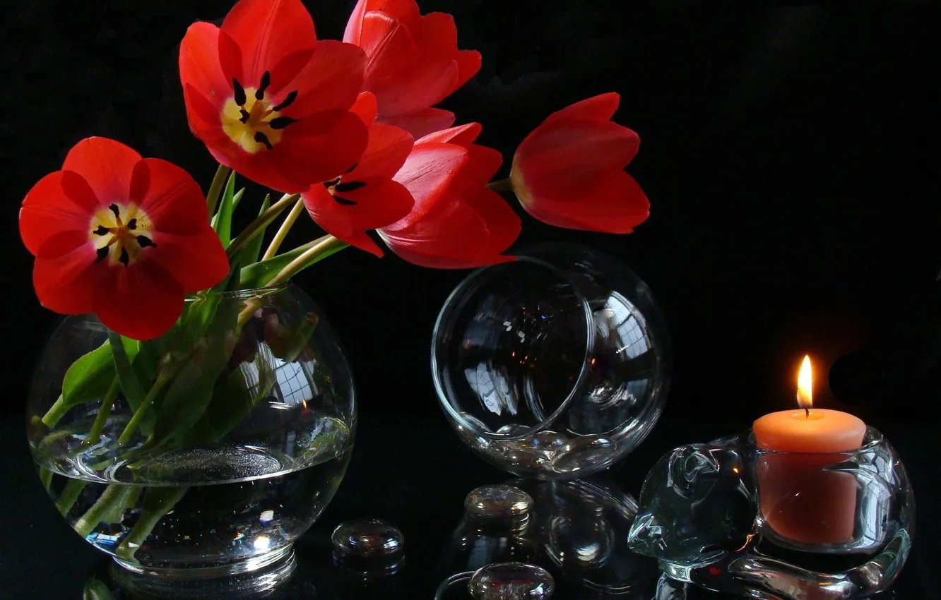 Photo wallpaper cat, flowers, stones, glass, candle, bouquet, tulips, vase