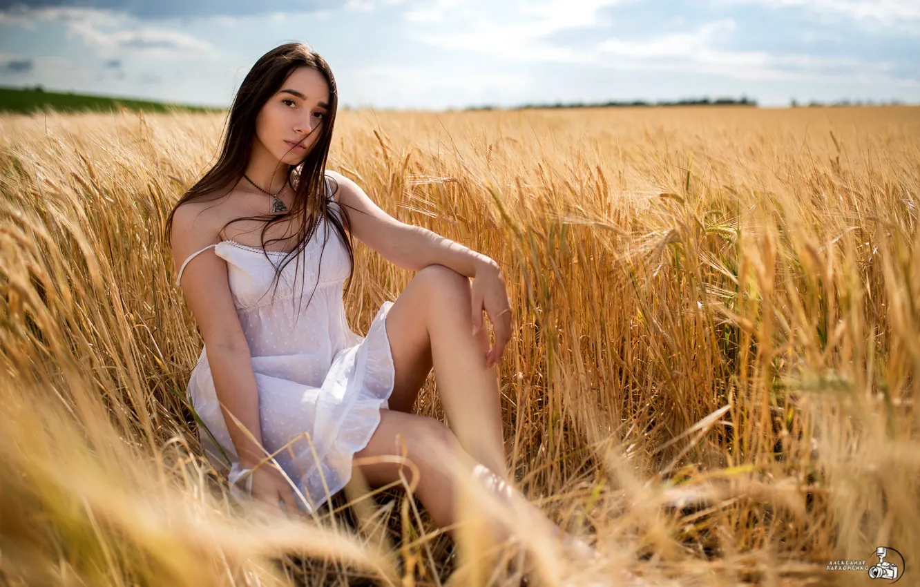 Photo wallpaper summer, girl, dress, ears, legs, Alexander Parkhomenko