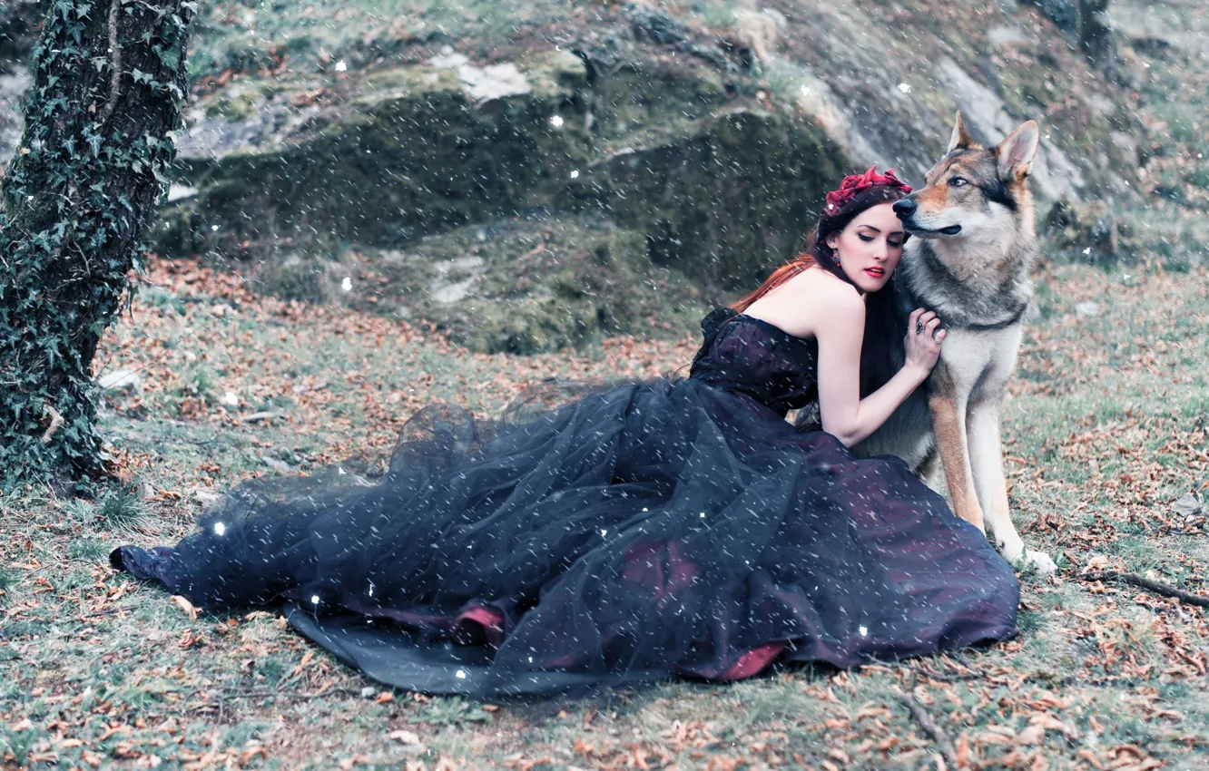 Photo wallpaper girl, nature, wolf