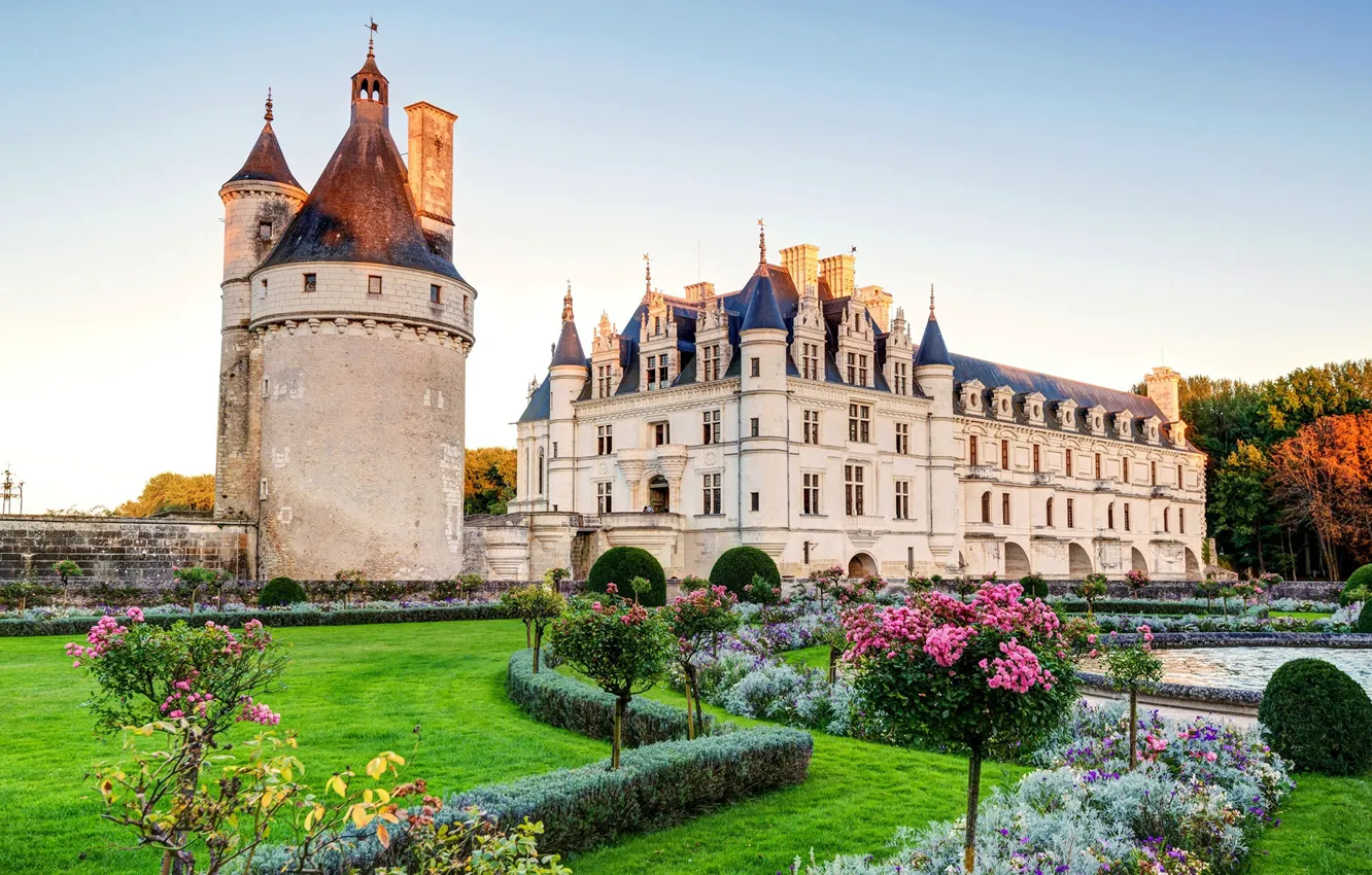 Photo wallpaper grass, flowers, castle, The Loire Valley