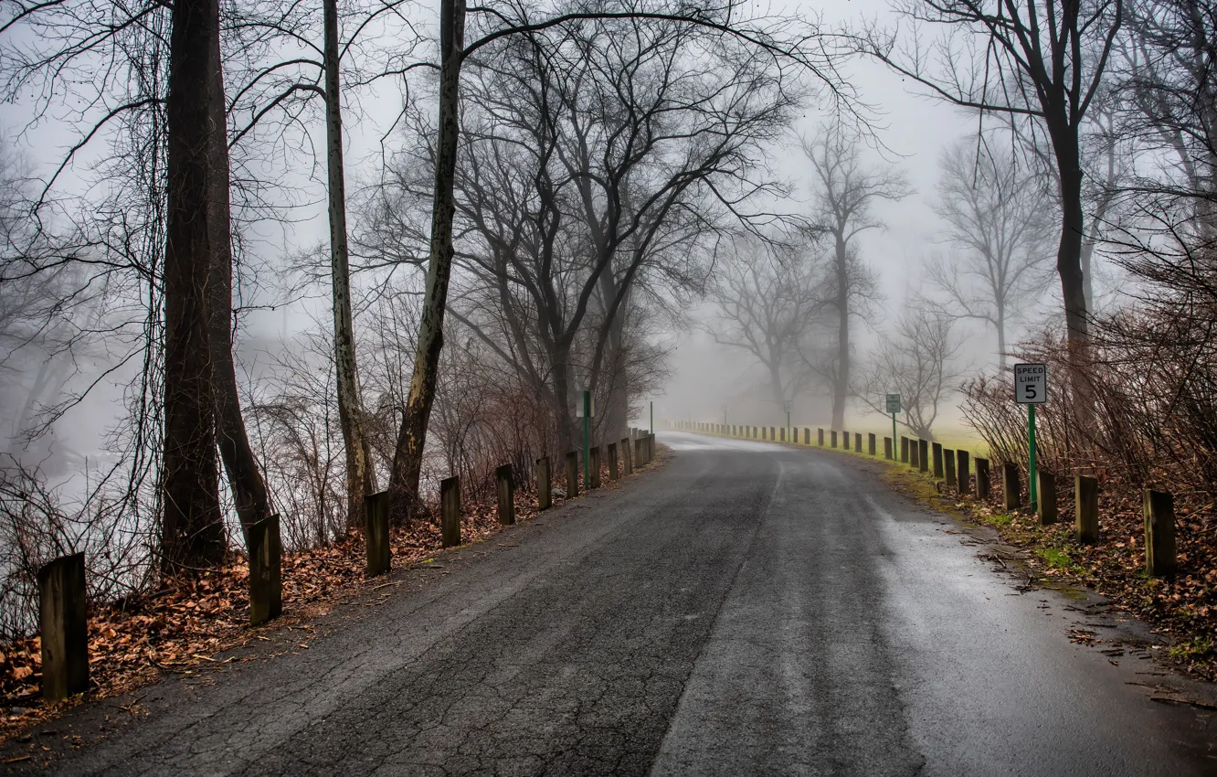 Photo wallpaper road, autumn, fog