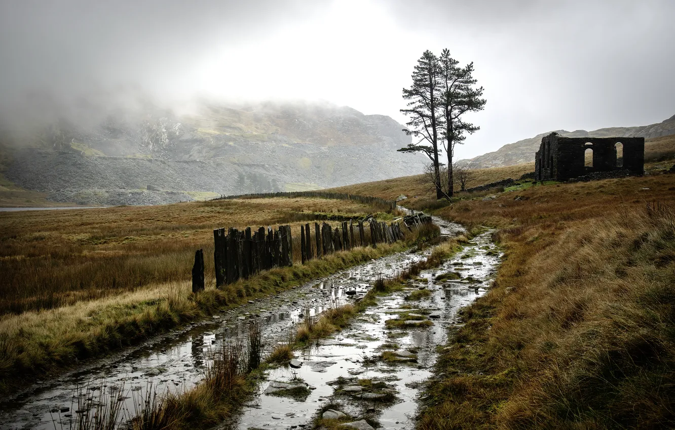 Photo wallpaper road, nature, fog