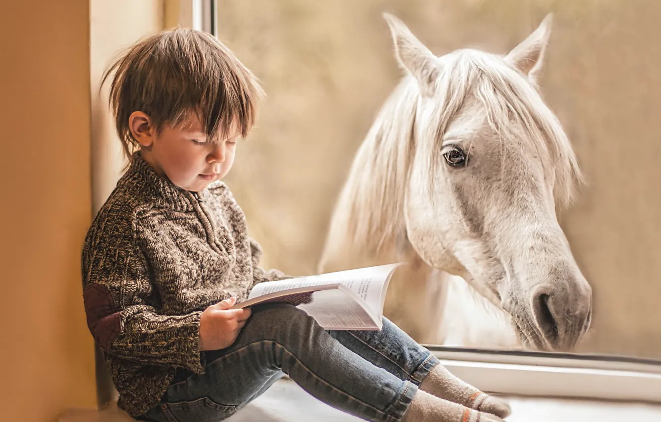 Photo wallpaper horse, boy, window, book