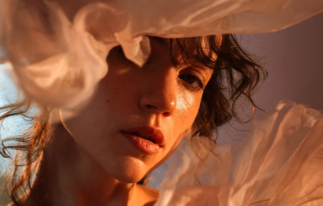 Photo wallpaper girl, model, face, brunette, portrait, closeup, veil, Olga Sakharova