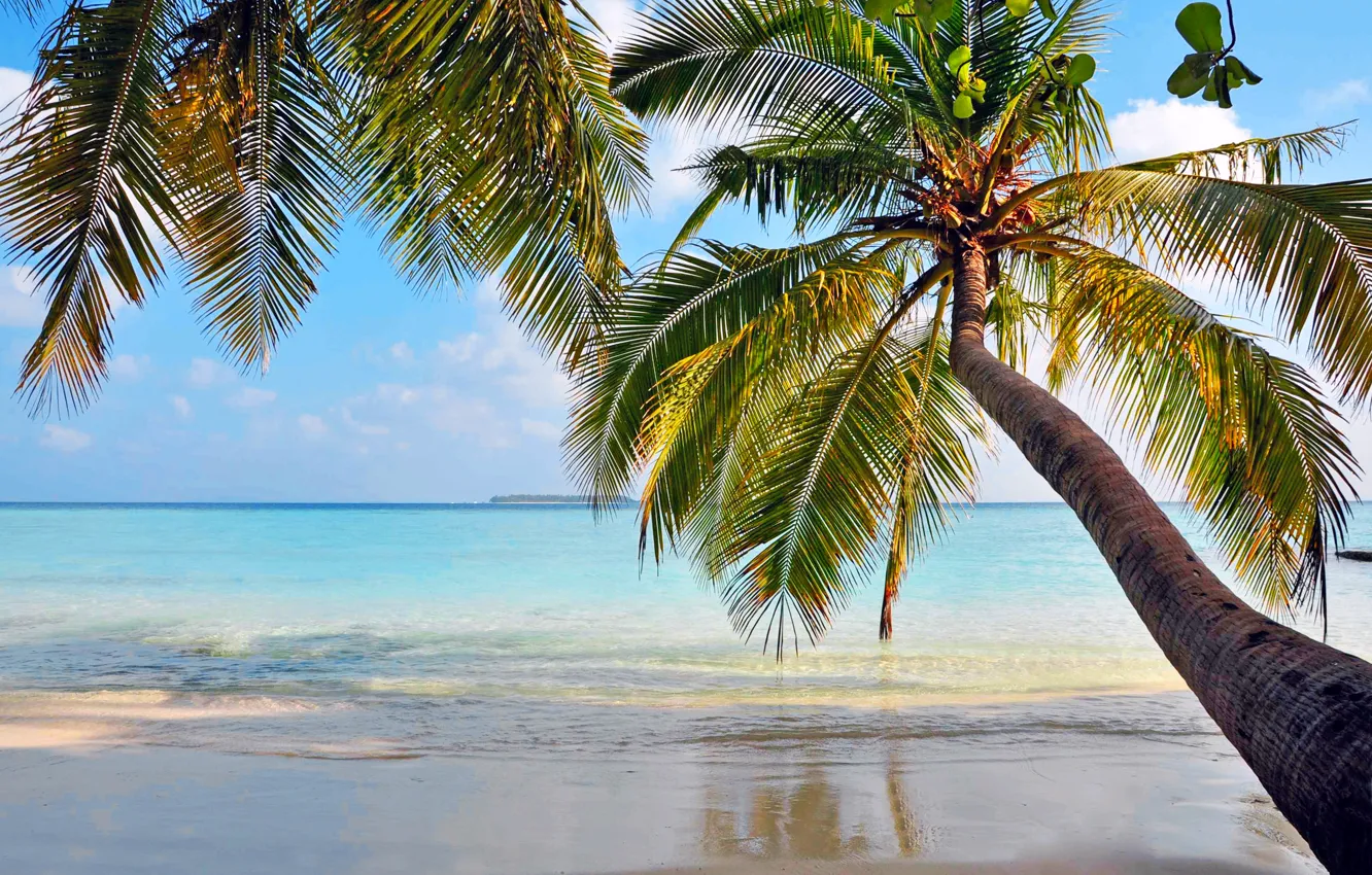 Photo wallpaper sea, beach, tropics, palm trees, stay, island