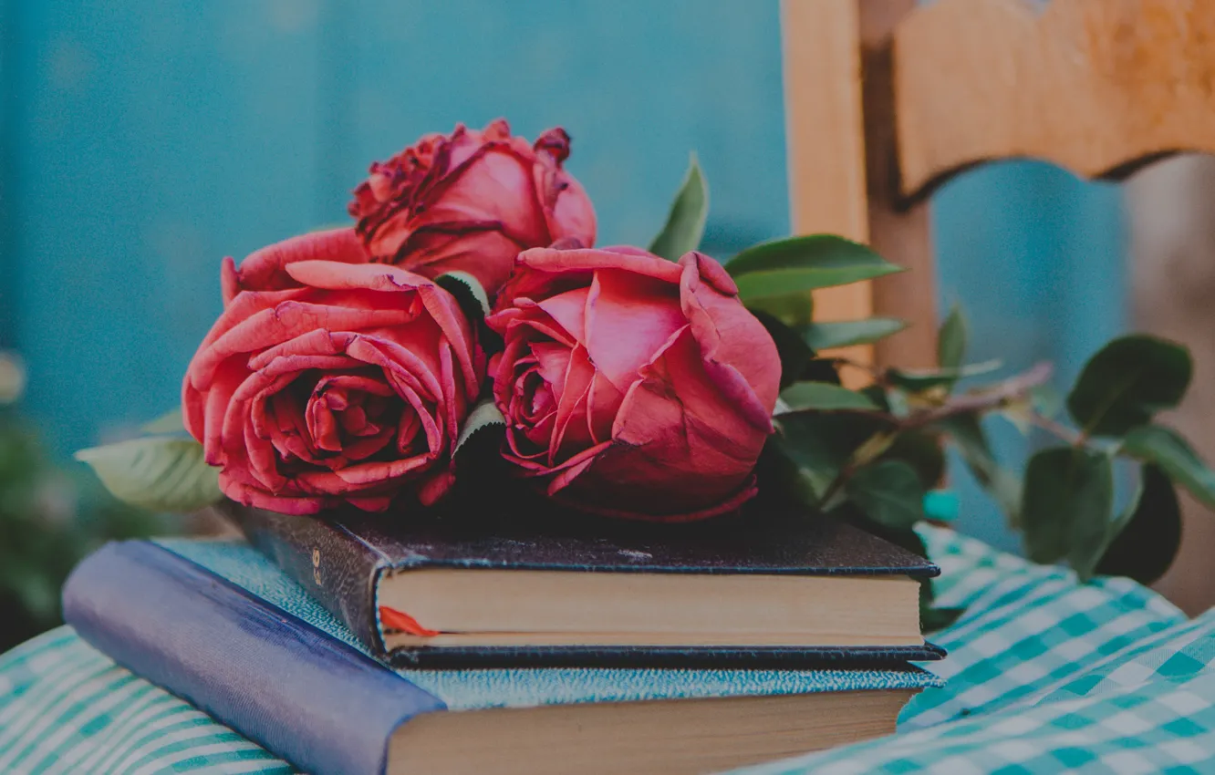 Photo wallpaper style, books, roses, buds