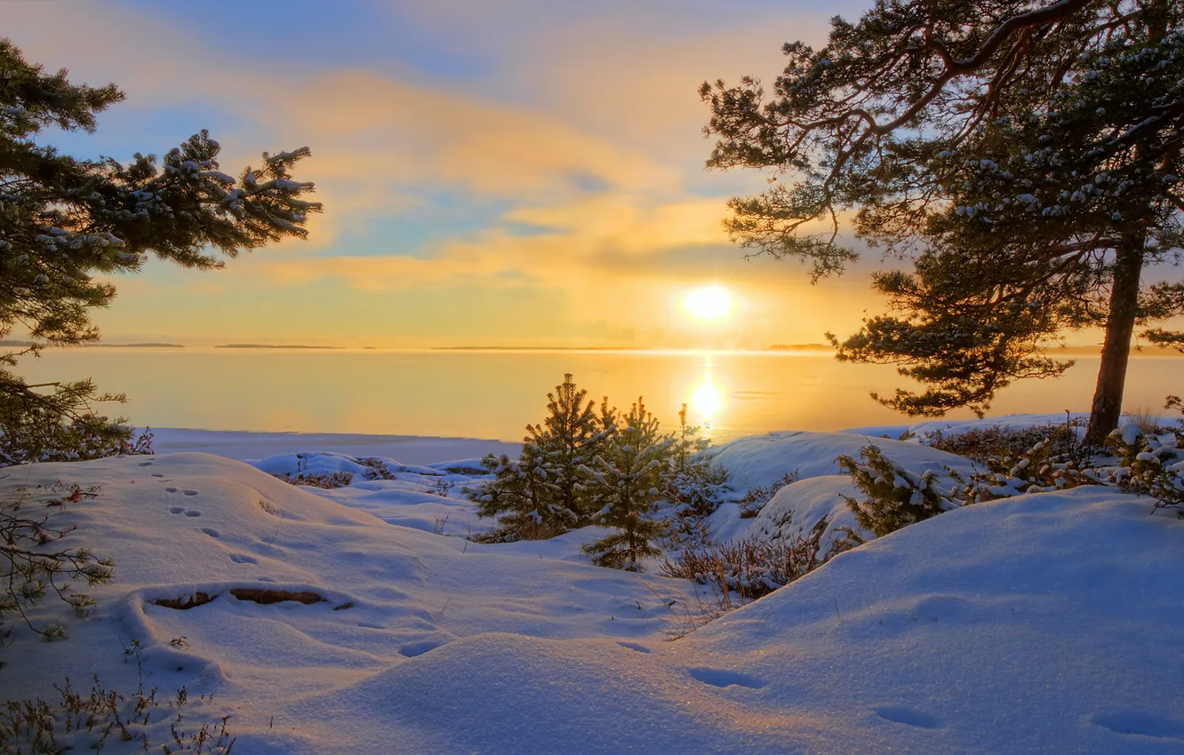 Photo wallpaper winter, snow, trees, traces, lake, the evening