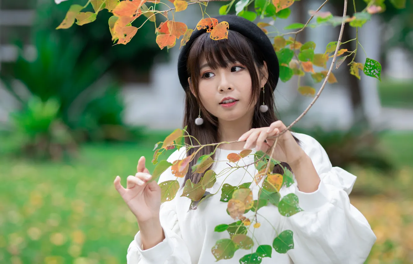 Photo wallpaper look, branches, Asian