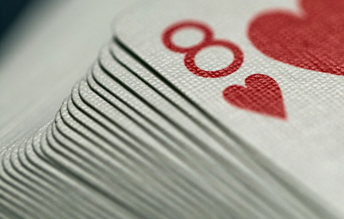 Photo wallpaper macro, background, map