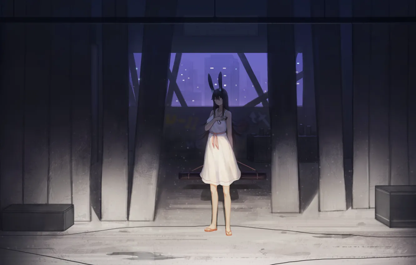 Photo wallpaper girl, the city, ears, the room, tube