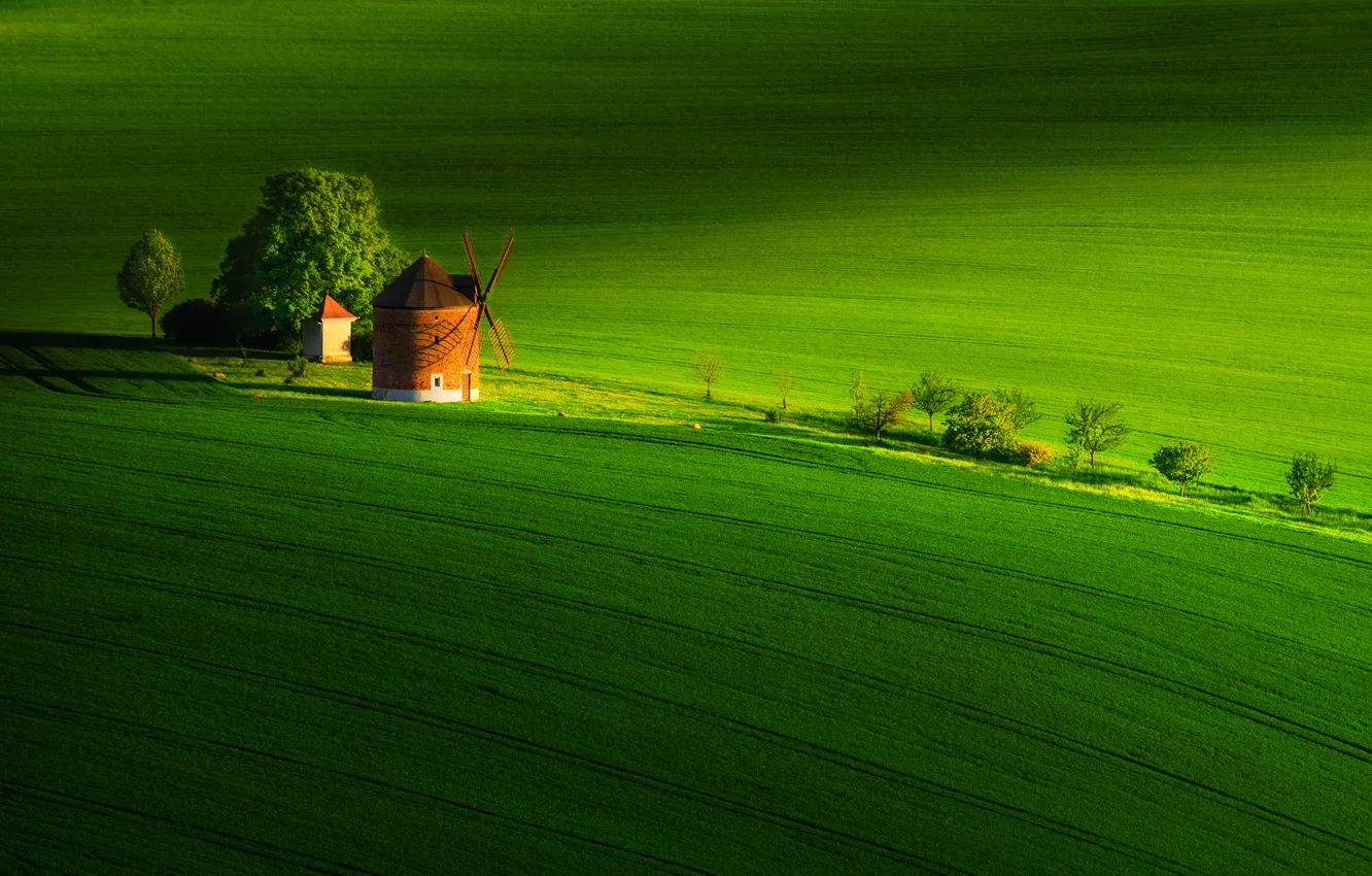 Photo wallpaper green, photography, trees, field, landscape, nature, windmill, mill