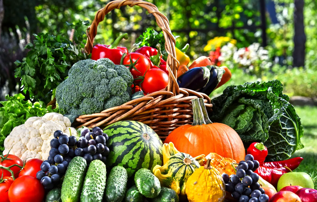 Photo wallpaper greens, basket, apples, watermelon, garden, grapes, eggplant, pumpkin