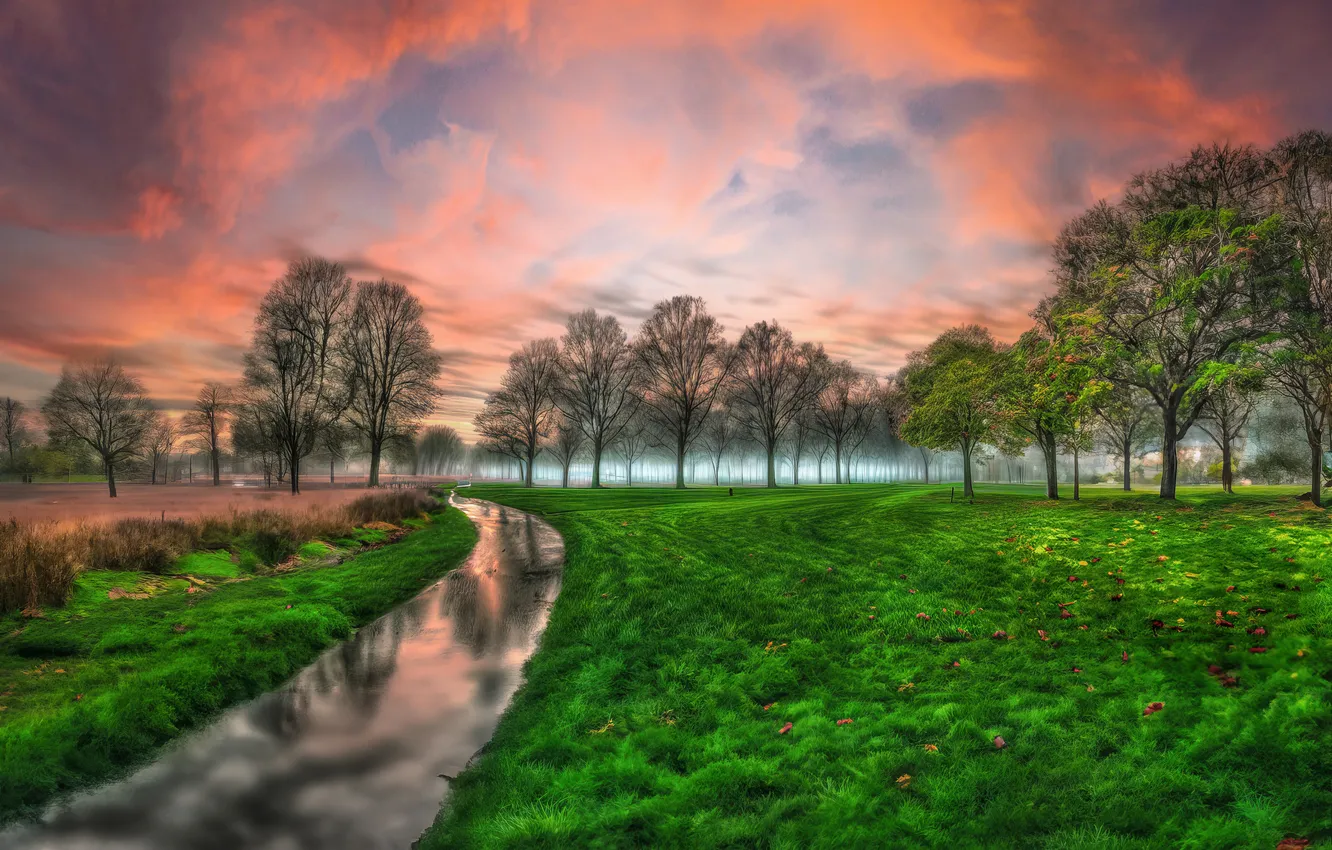 Photo wallpaper trees, landscape, water channel