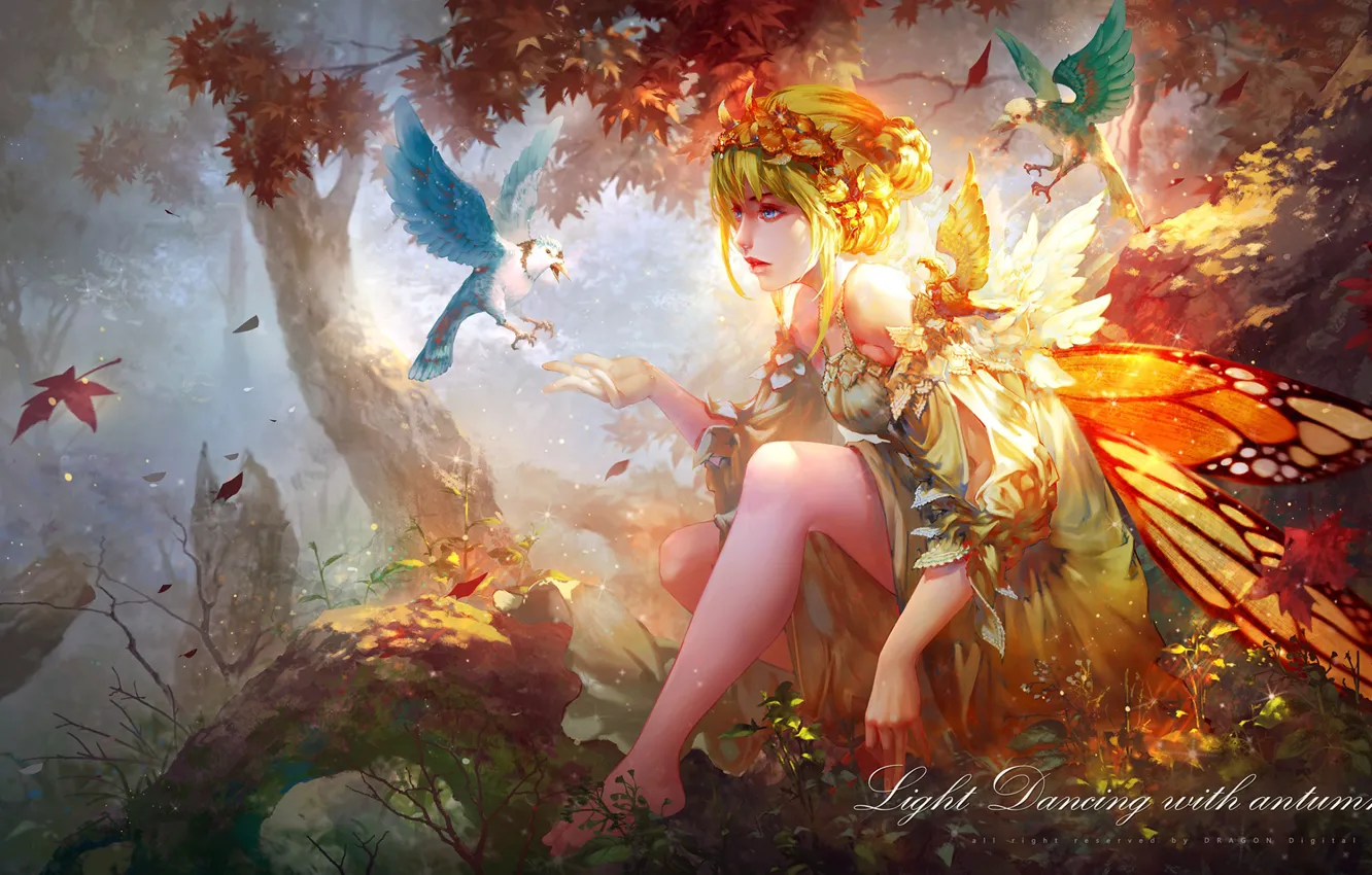 Photo wallpaper girl, birds, nature